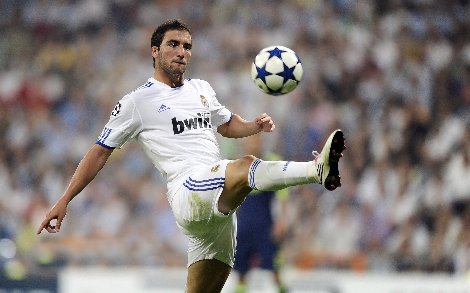 冠军球队球员签名会现场秩序井然粉丝反响热烈，ning冠军签名